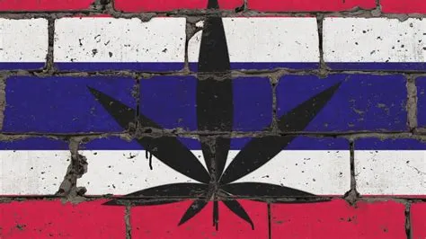 Grunge-style flag of Thailand painted on a brick wall with a black cannabis leaf overlay.