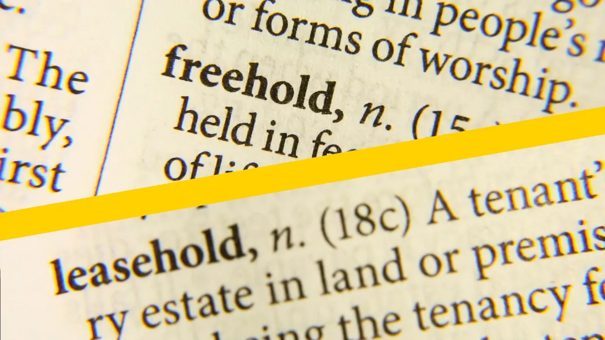 Close-up of dictionary entries for "freehold" and "leasehold" separated by a yellow diagonal line.