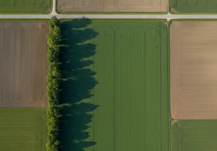 Image representing real estate category Land