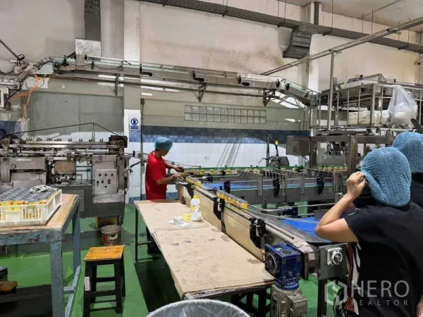 Factory for sale in Samut Prakan - Close-up of an automated conveyor belt and assembly equipment in a processing room.