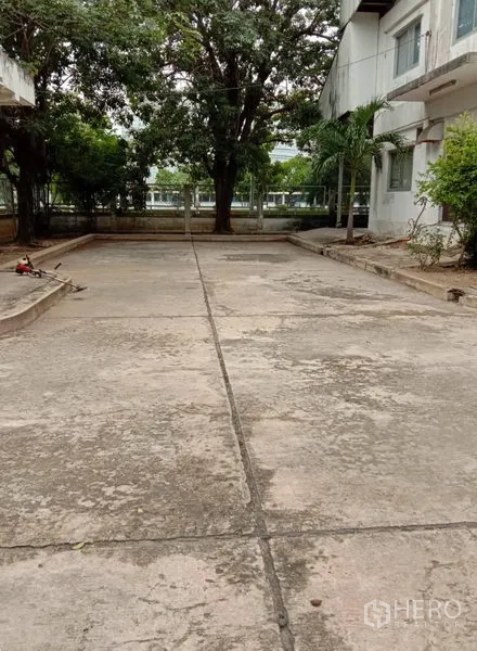 工厂 出租在Samut Prakan - 楼宇间室外混凝土场地，有树荫，适合卡车通行与停车。