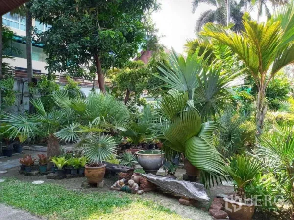 บ้าน ให้เช่าในKhlong Toei, Bangkok - สวนเขตร้อนกว้างขวาง มีปาล์ม กระถางต้นไม้ และสนามหญ้า
