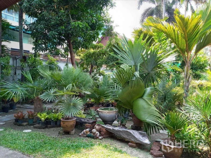 บ้าน ให้เช่าในKhlong Toei, Bangkok - สวนเขตร้อนกว้างขวาง มีปาล์ม กระถางต้นไม้ และสนามหญ้า
