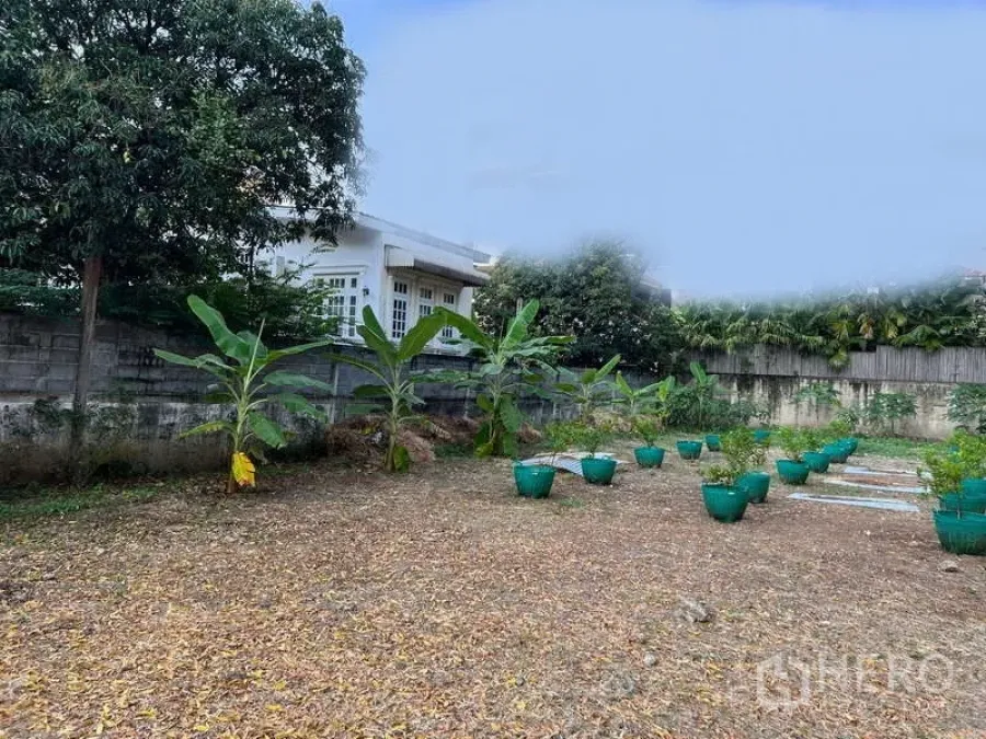 Land for rent in Khlong Toei, Bangkok - Vacant urban plot with banana trees and green planters, enclosed by concrete walls beside a low-rise house.