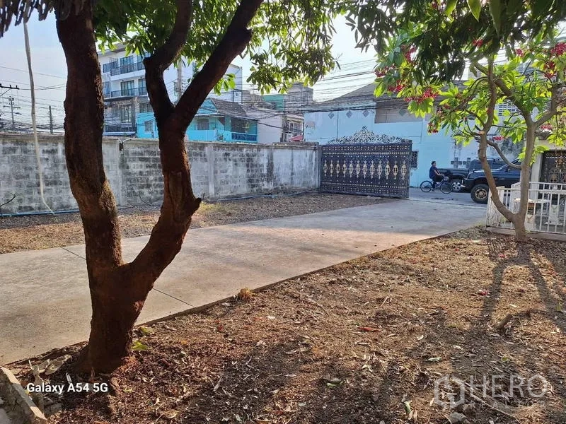 Detached House for rent in Bang Na, Bangkok - Garden area with mature trees and paved access path leading to the main gate.