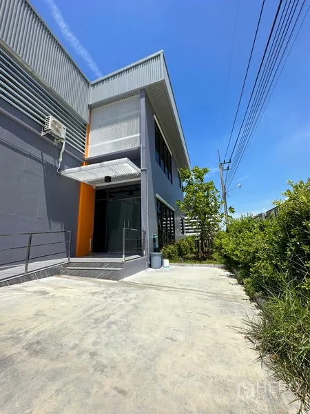 Factory for rent or sale in Lam Luk Ka, Pathum Thani - Side walkway leading to the office entrance with awning and shrubs.
