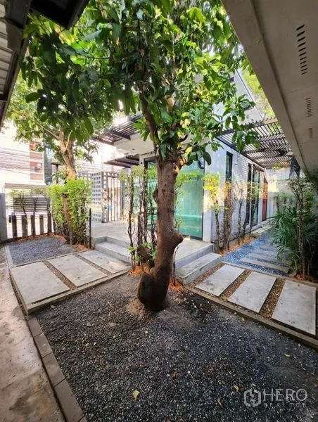 สำนักงานที่บ้าน ให้เช่าในLat Phrao, Bangkok - ลานคอร์ตยาร์ดหน้าอาคาร มีต้นไม้ใหญ่ ทางเดินกรวด และขั้นบันไดสู่ห้องกระจก