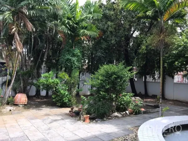 独立式住宅 出租在Phra Khanong, Bangkok - 宽阔花园，棕榈与灌木成景，并有石铺露台。