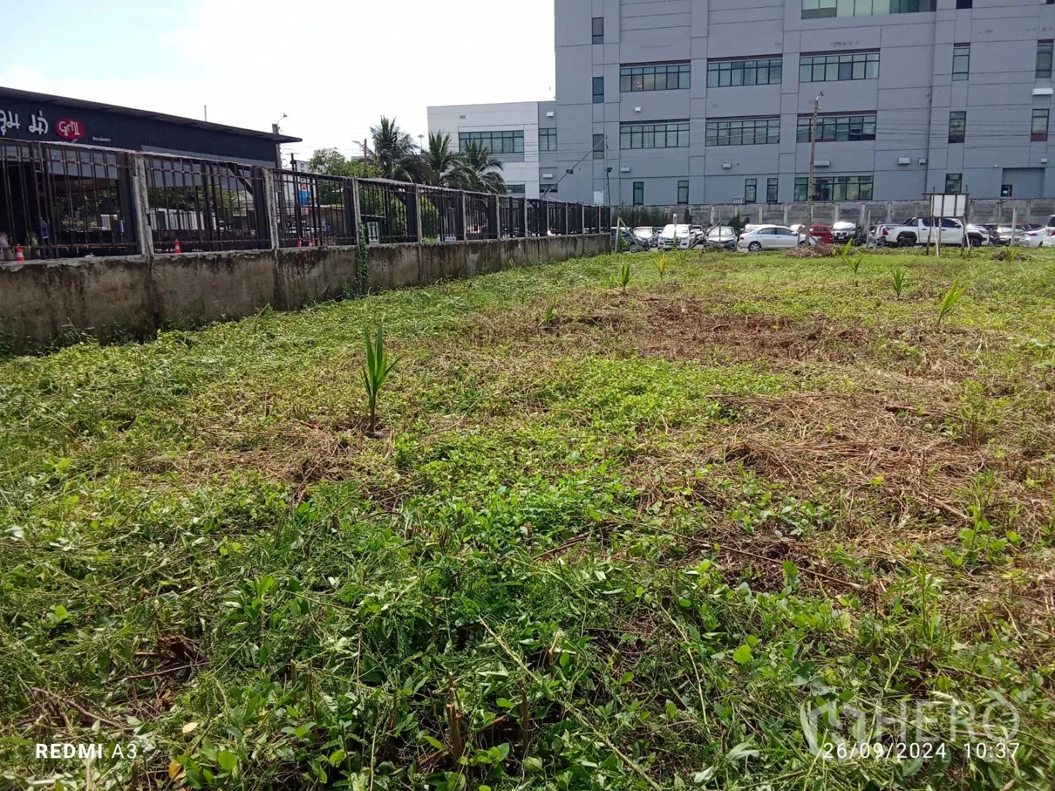 地 出租在Khan Na Yao, Bangkok - 地块近景，已整平，邻黑色商业建筑与边界墙。