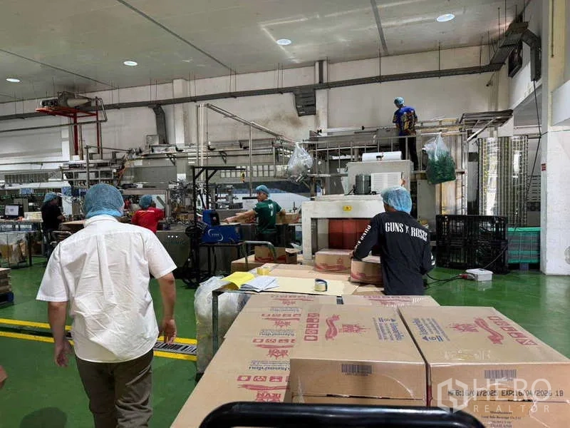 Factory for sale in Samut Prakan - Production hall with conveyor lines, packing tables and carton boxes on a green epoxy floor.
