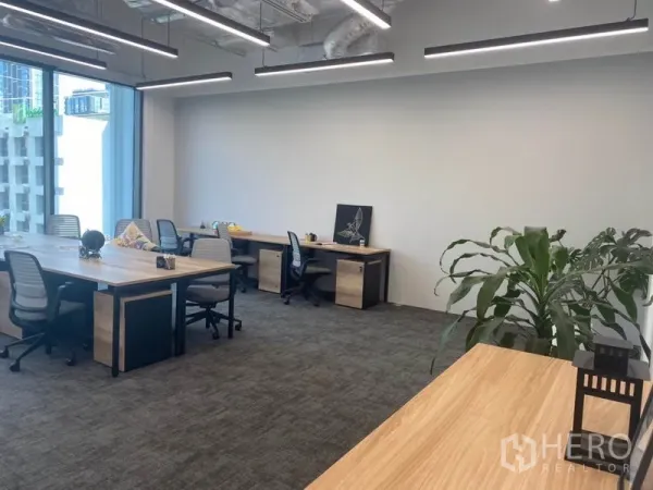 Office Space for rent in Pathum Wan, Bangkok - Spacious office area with collaborative desks, carpet flooring, large windows and an indoor plant.