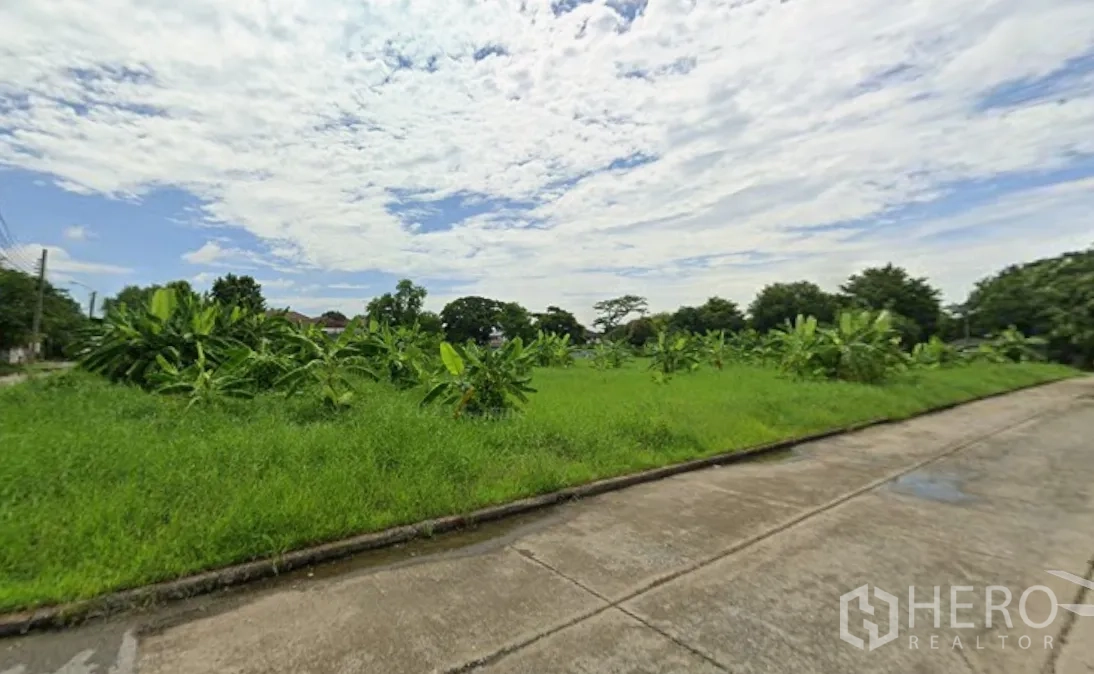 Land for rent in Prawet, Bangkok - Open land plot with grass and young trees next to a paved road under a wide sky.