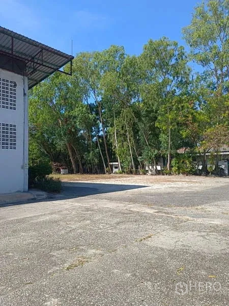 Warehouse for rent in Mueang Rayong, Rayong - Open yard beside the warehouse with mature trees and a paved surface.
