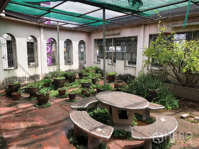 店屋 出租在Khlong Toei, Bangkok - 屋顶庭院花园，盆栽与混凝土长椅圆桌。