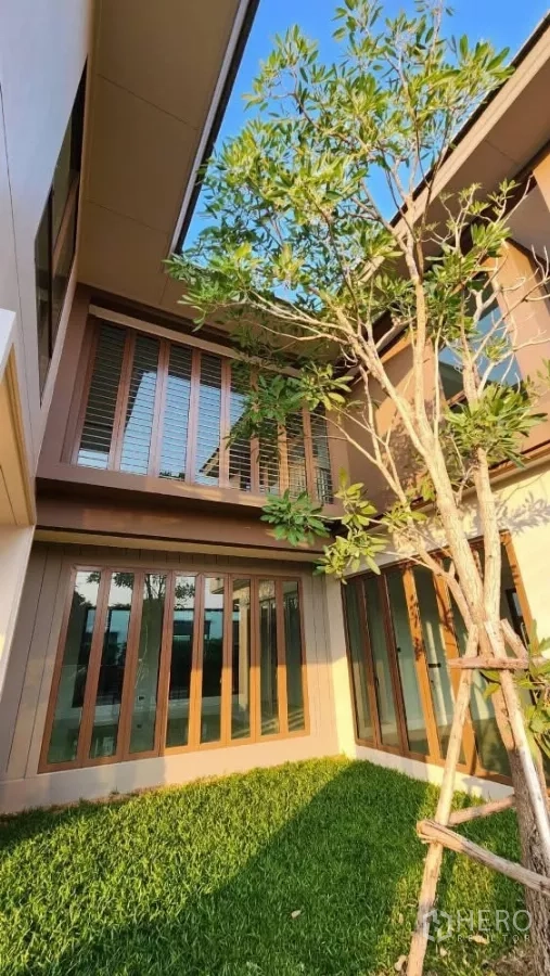 Detached House for rent or sale in Bang Kapi, Bangkok - Private green courtyard with tree and full-height windows around the house.