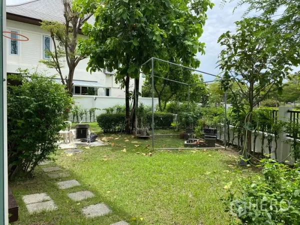 Detached House for rent in Prawet, Bangkok - Private corner garden with lawn, mature trees and white perimeter fence.