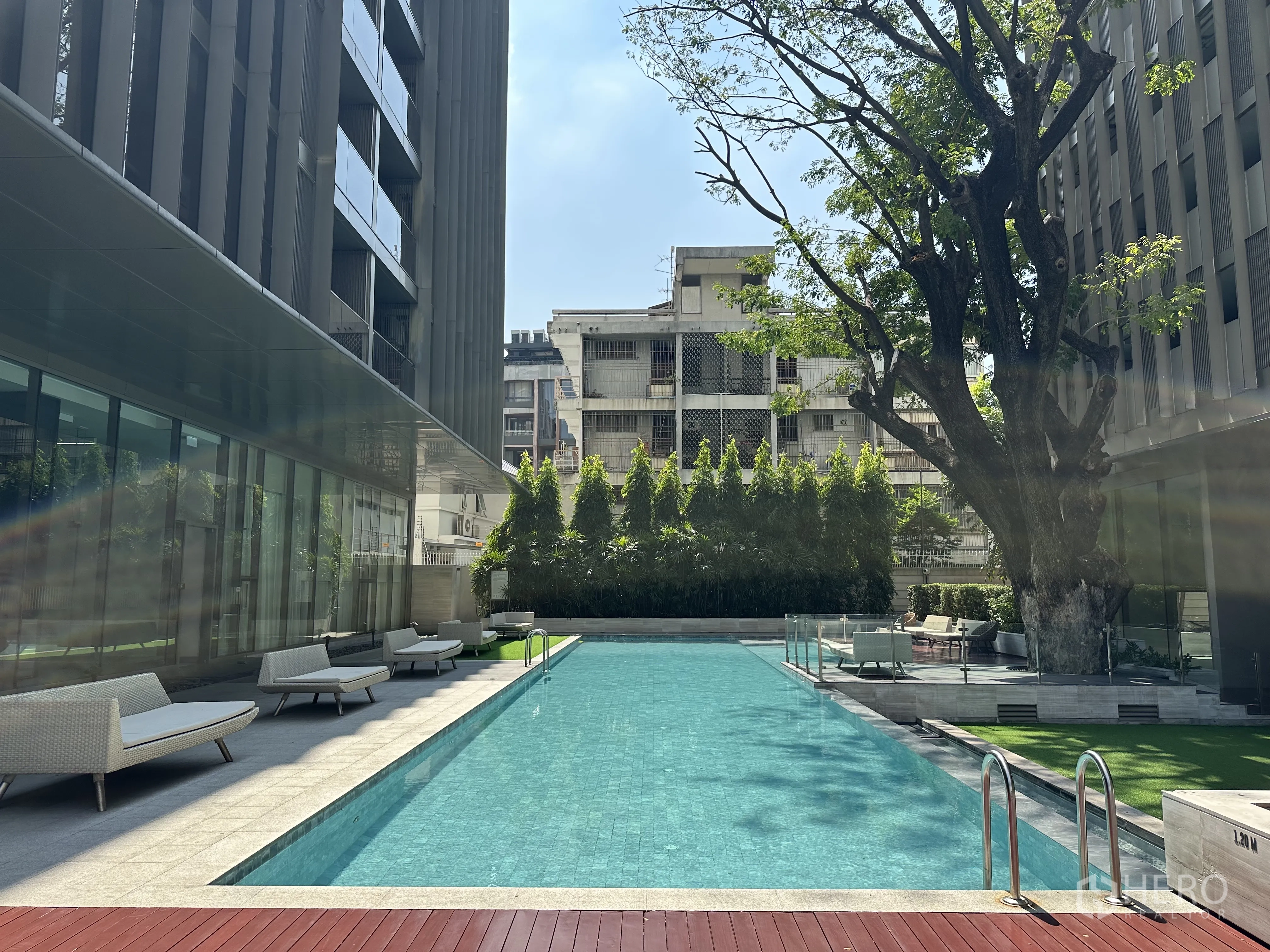 Condominium for rent in Khlong Toei, Bangkok - Resort-style courtyard featuring a lap pool, sun loungers, and a large tree.
