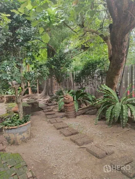 独立式住宅 出租或出售在Suan Luang, Bangkok - 穿过景观花园的石径，摆放盆栽与参天古树。