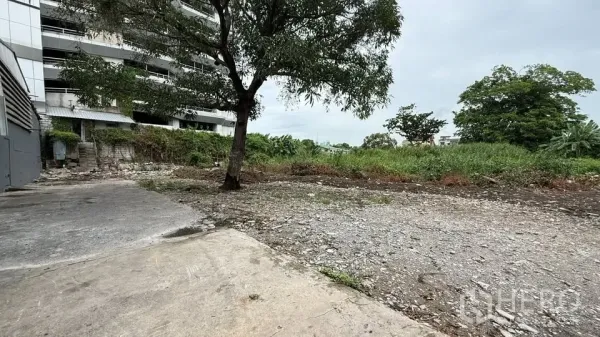 Warehouse for rent in Bang Na, Bangkok - Open yard area with tree and rough ground beside the warehouse building.