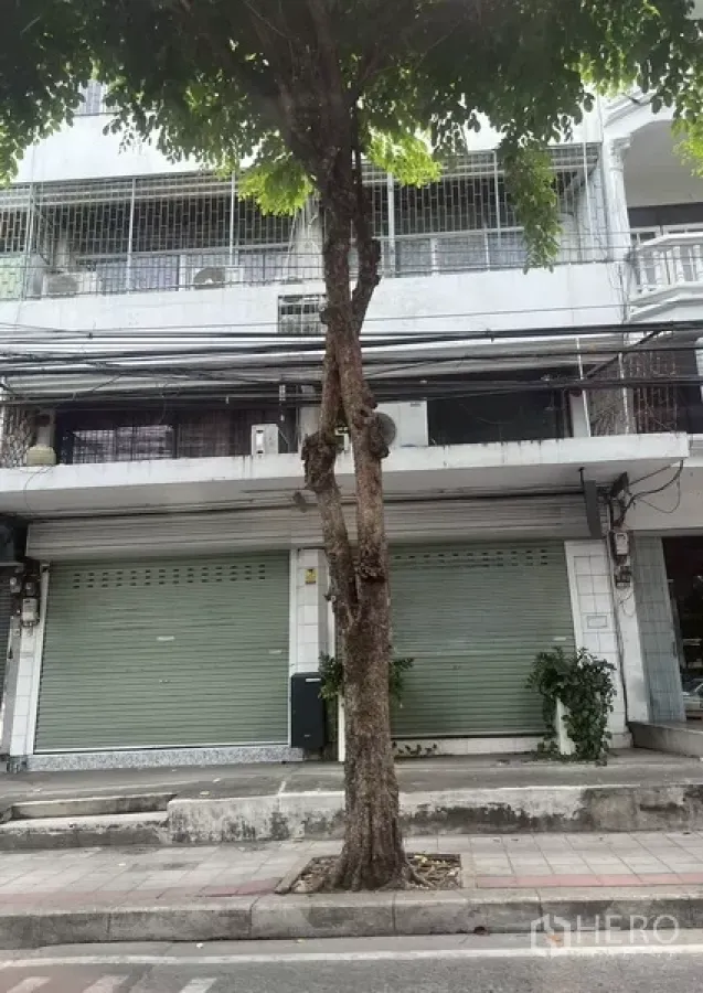 Shophouse for rent in Bang Na, Bangkok - Four-storey shophouse exterior with twin green roller shutters and a tree-lined sidewalk in Bang Na, Bangkok.