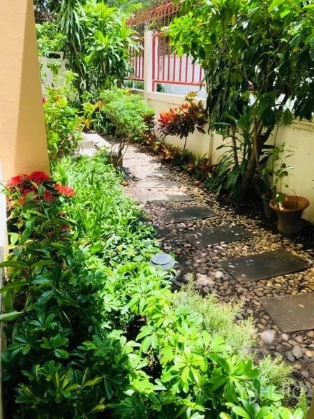 Detached House for rent in Watthana, Bangkok - Landscaped garden walkway with flowering plants and pebbles along the side yard.