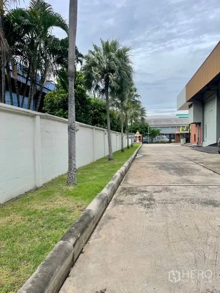 โรงงาน ให้เช่าในMueang Samut Prakan, Samut Prakan - ทางวิ่งข้างอาคารมีต้นปาล์มและกำแพงรั้วให้ความเป็นส่วนตัว
