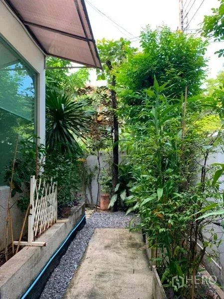 独立式住宅 出售在Suan Luang, Bangkok - 房屋侧院步道，植栽茂盛，碎石铺地与外立面玻璃墙。