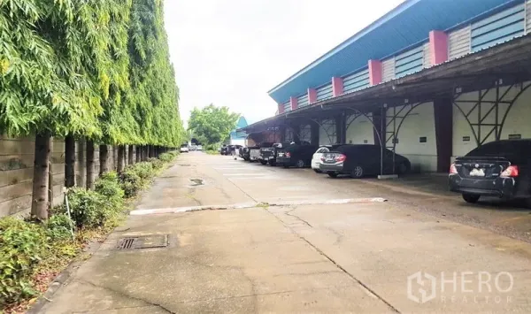 Factory for sale in Lam Luk Ka, Pathum Thani - Covered loading platforms along the warehouse with parking and a row of tall trees for screening.
