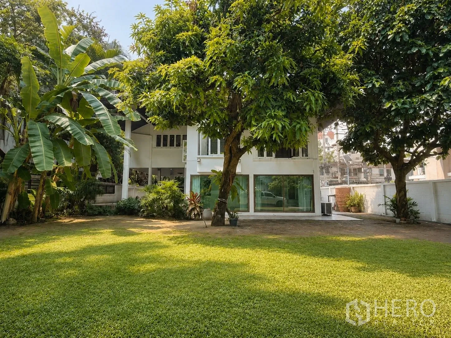 บ้านเดี่ยว for rent in Pathum Wan, Bangkok - ด้านหลังบ้านพร้อมสนามหญ้ากว้างและต้นไม้ใหญ่
