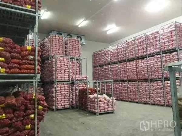 Factory for sale in Khlong Luang, Pathum Thani - Cold storage room filled with racked bags of produce under ceiling-mounted cooling units.