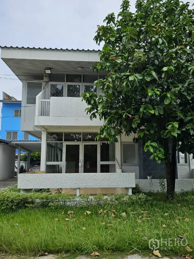 Detached House for rent or sale in Lat Phrao, Bangkok - Front elevation with lawn and a large shade tree in the garden.