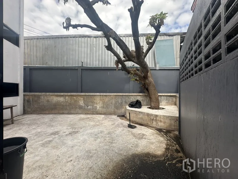 Home Office for rent or sale in Bang Na, Bangkok - Another view of the walled courtyard with tree and seating ledge.