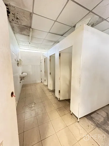 Factory for rent in Phra Nakhon Si Ayutthaya - Employee restroom with multiple partition stalls, sinks and tiled flooring.