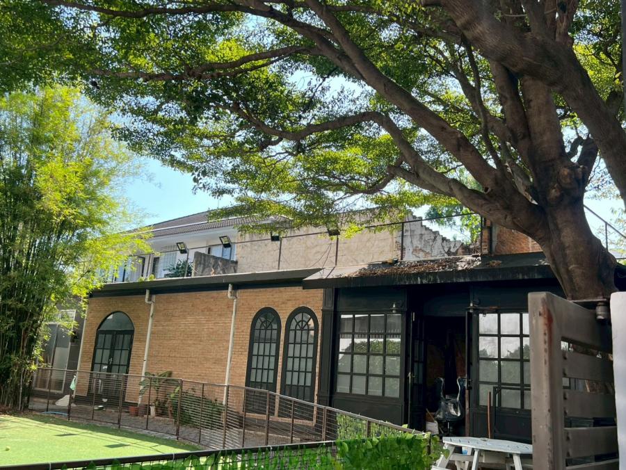 Retail Space for rent in Watthana, Bangkok - Leafy courtyard with a large shade tree facing a brick building with arched black-framed windows.