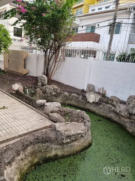 Detached House for rent or sale in Sathon, Bangkok - Curved decorative garden pond lined with rocks beside the walkway.
