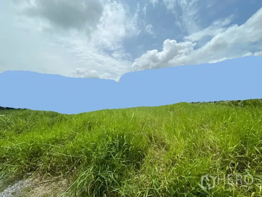 Featured image for 土地 162 平方哇 在 拉卡邦 拉卡邦 曼谷
