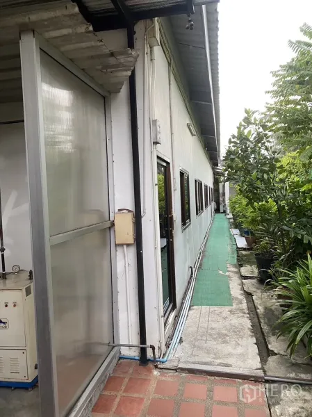 Factory for rent in Prawet, Bangkok - Exterior service walkway beside the factory with green matting and lush plants.