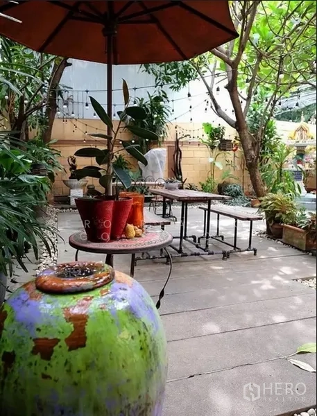 Detached House for rent in Watthana, Bangkok - Shaded garden patio with umbrella, rustic tables and many potted plants beside a privacy wall.