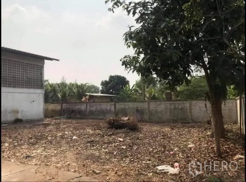 Factory for sale in Nong Chok, Bangkok - Open side yard with tree and boundary wall beside the factory building.