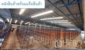 Warehouse for rent in Mueang Pathum Thani, Pathum Thani - High-bay warehouse interior filled with selective pallet racking under bright lighting.