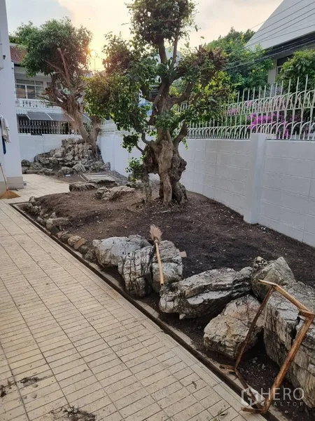 Detached House for rent or sale in Sathon, Bangkok - Low-maintenance garden with rocks and pruned trees along the fence at sunset.