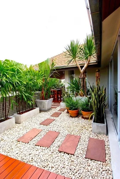 Detached House for rent in Watthana, Bangkok - Terrace garden with pebble ground, potted tropical plants and a stepping‑stone path.
