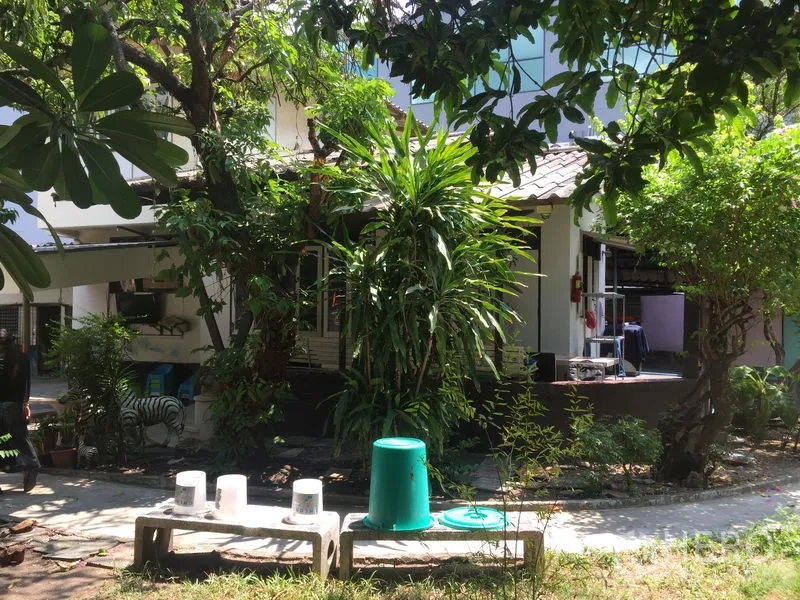 Detached House for rent in Khlong Toei, Bangkok - Lush garden and shaded patio outside a two-storey detached house in Khlong Toei, Bangkok.