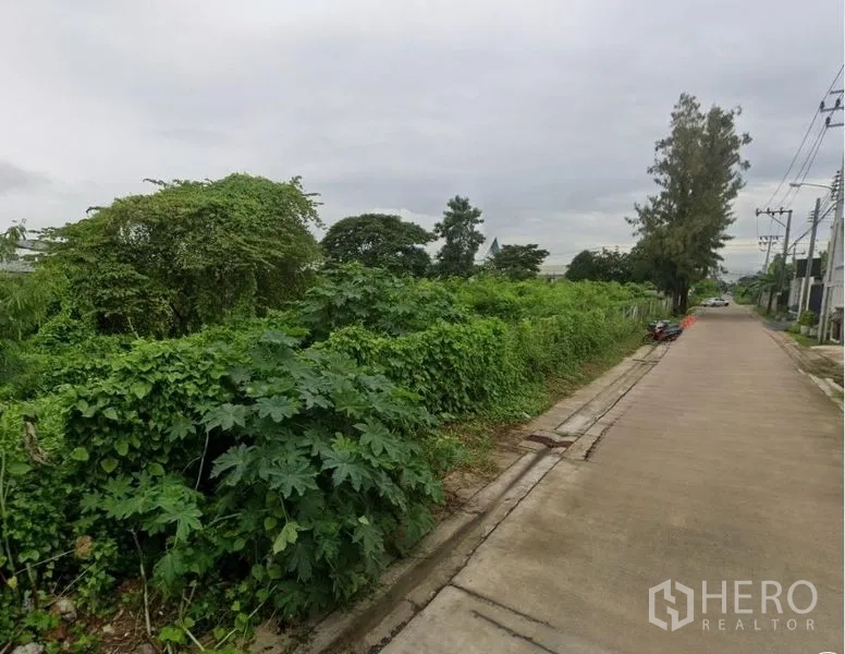 Land for rent in Prawet, Bangkok - Quiet concrete street with power poles beside a lush vacant land plot in Prawet, Bangkok.