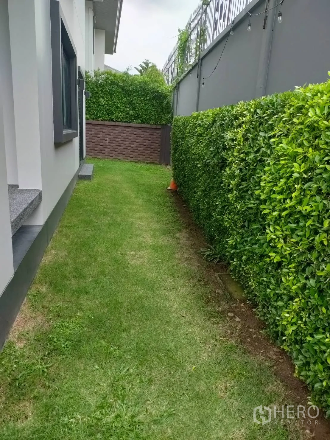Detached House for rent or sale in Lam Luk Ka, Pathum Thani - Side lawn with trimmed hedges running along the house exterior.