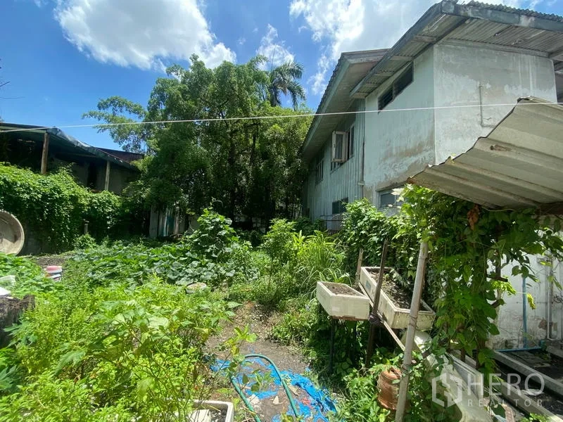 独立式住宅 出租在Khlong Toei, Bangkok - 房屋旁的花园区域，户外洗槽和藤蔓植物可见
