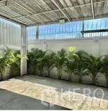 Home Office for rent in Wang Thonglang, Bangkok - Shaded outdoor area with potted palms along the wall under a metal canopy.