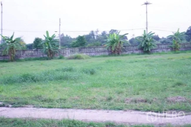 工厂 出售在Phanat Nikhom, Chon Buri - 绿色草地，沿混凝土围墙种有香蕉树。
