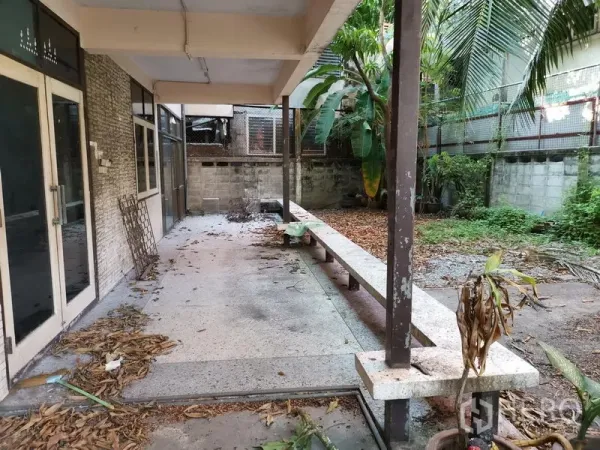 Home Office for rent in Khlong Toei, Bangkok - Covered terrace with long bench, glass doors and overgrown garden.