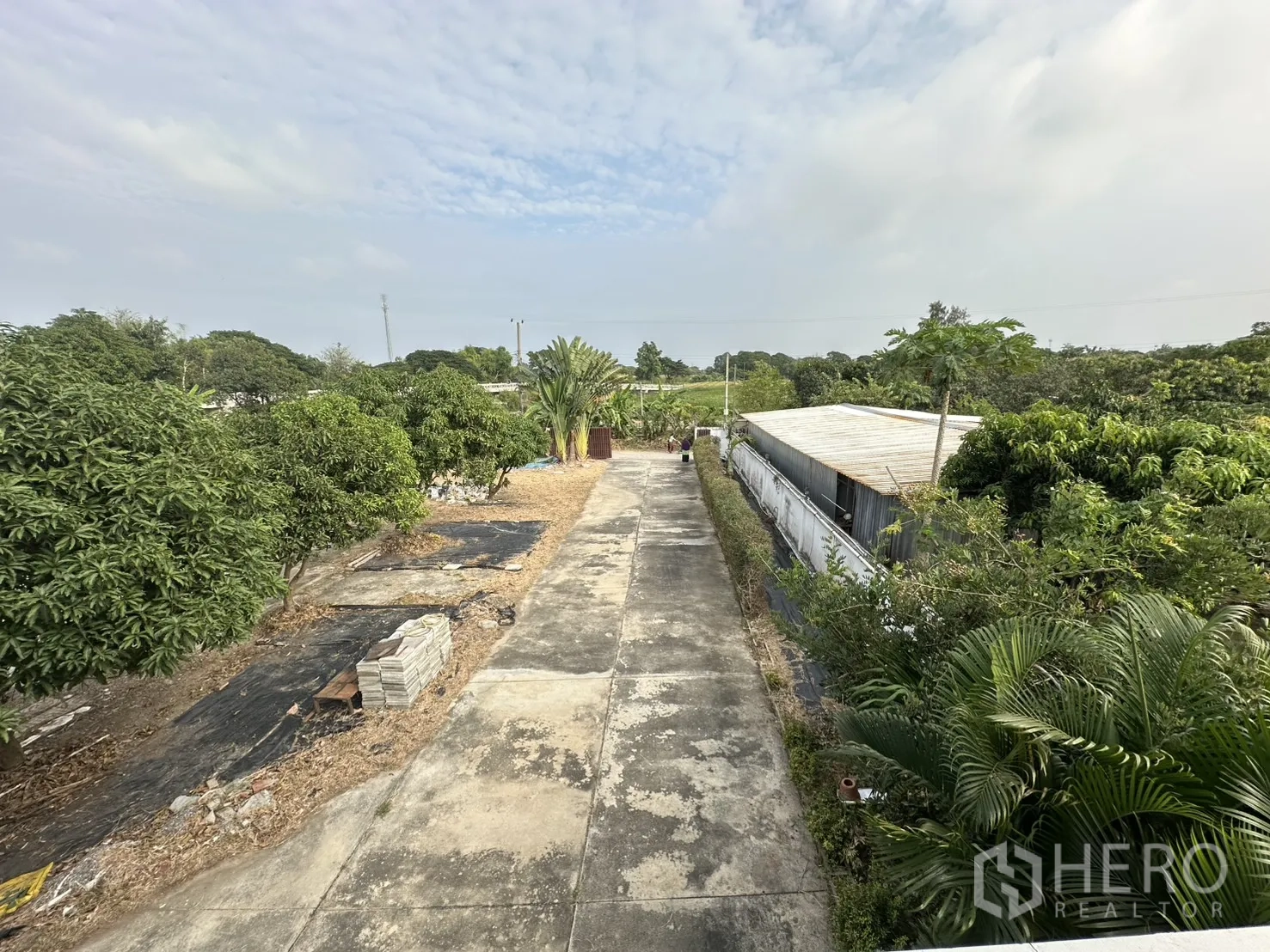 Home Office for rent - Long internal road lined with greenery and an outbuilding toward the gate.